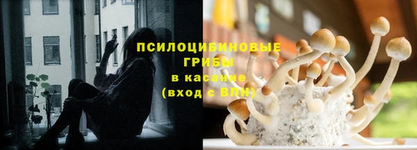 COCAINE Бородино
