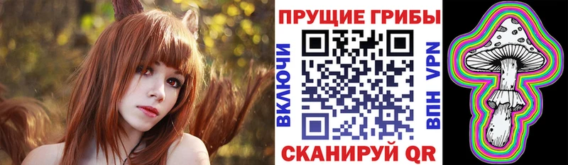Псилоцибиновые грибы мицелий  Наволоки 